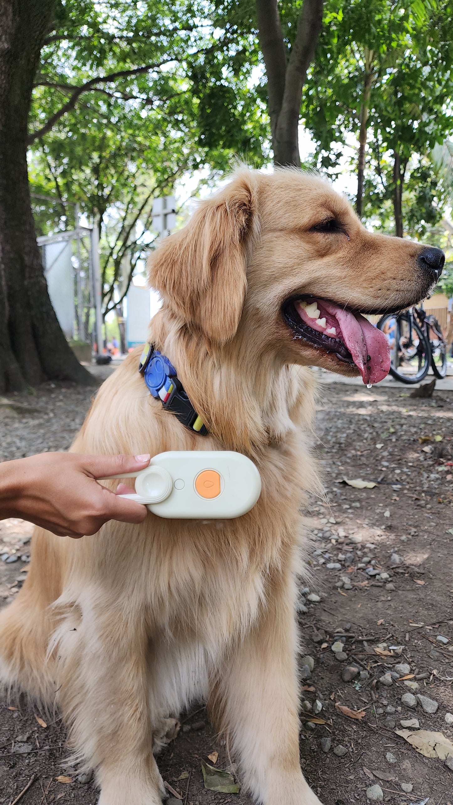 📍ÚLTIMO DIA DE OFERTA ✅ CEPILLIN ™|Cepillo vapor 3 en 1 para mascotas manija