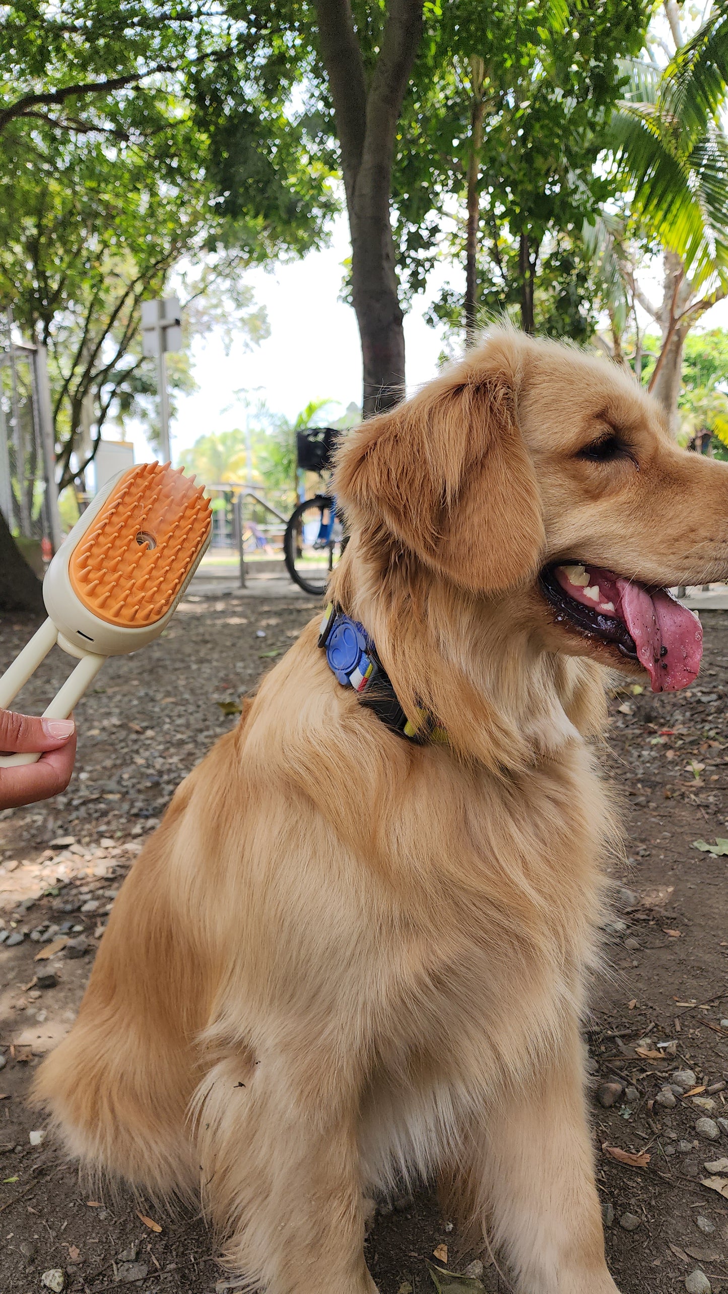 📍ÚLTIMO DIA DE OFERTA ✅ CEPILLIN ™|Cepillo vapor 3 en 1 para mascotas manija